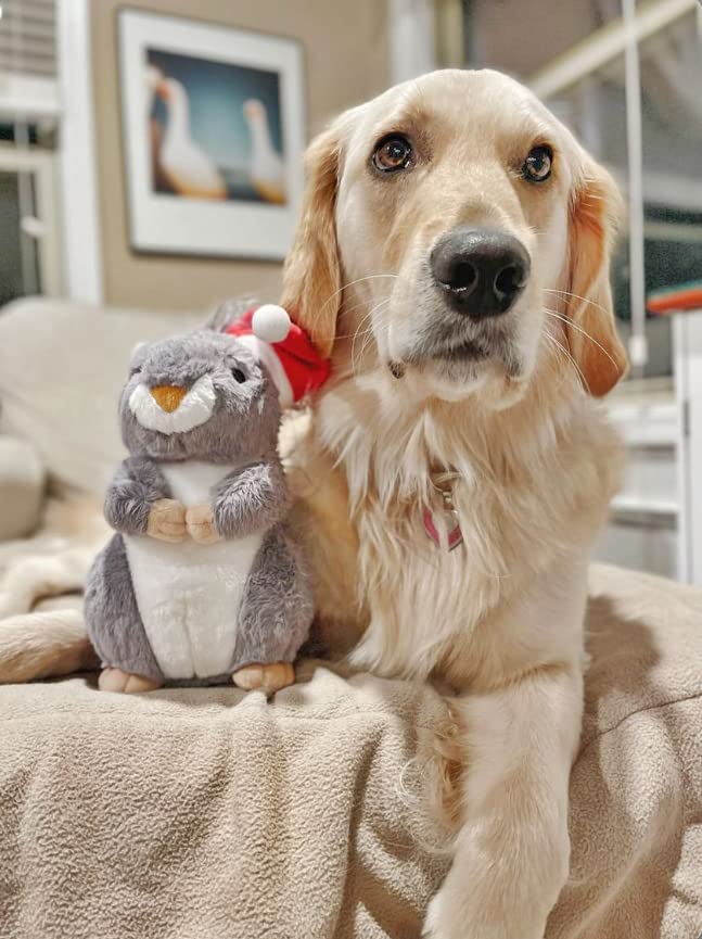 Midlee holiday dog toy promotes indoor play during winter.