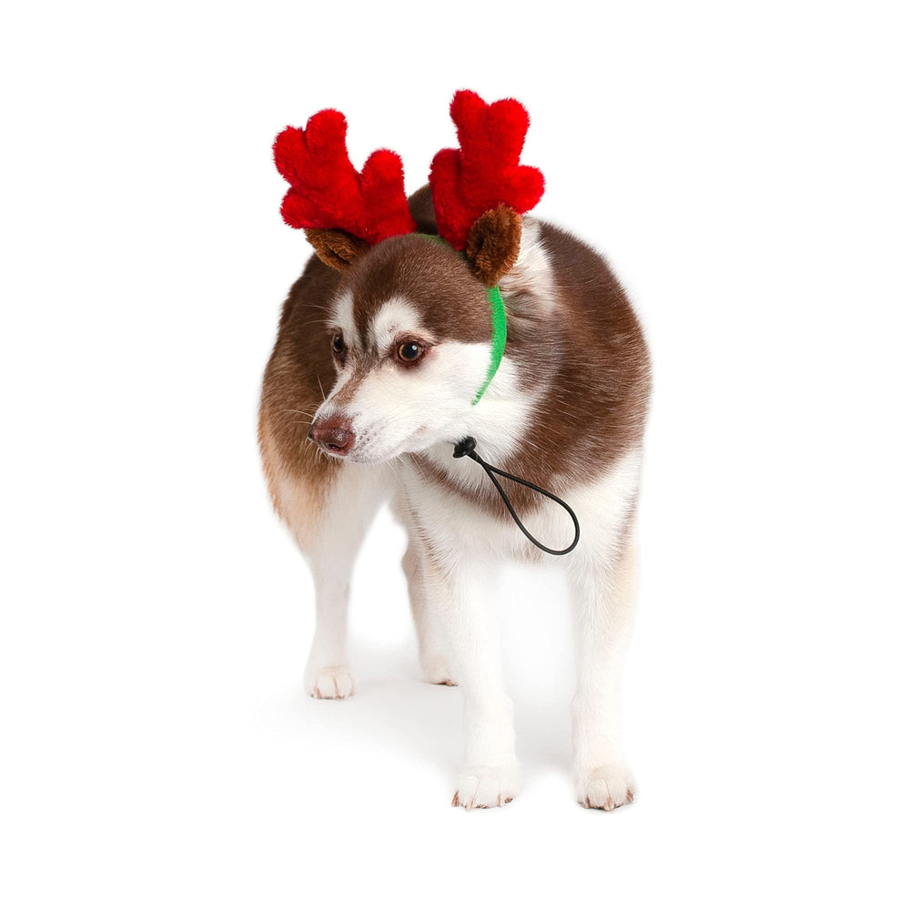 Midlee red plush antlers fit tiny dogs for holiday shots