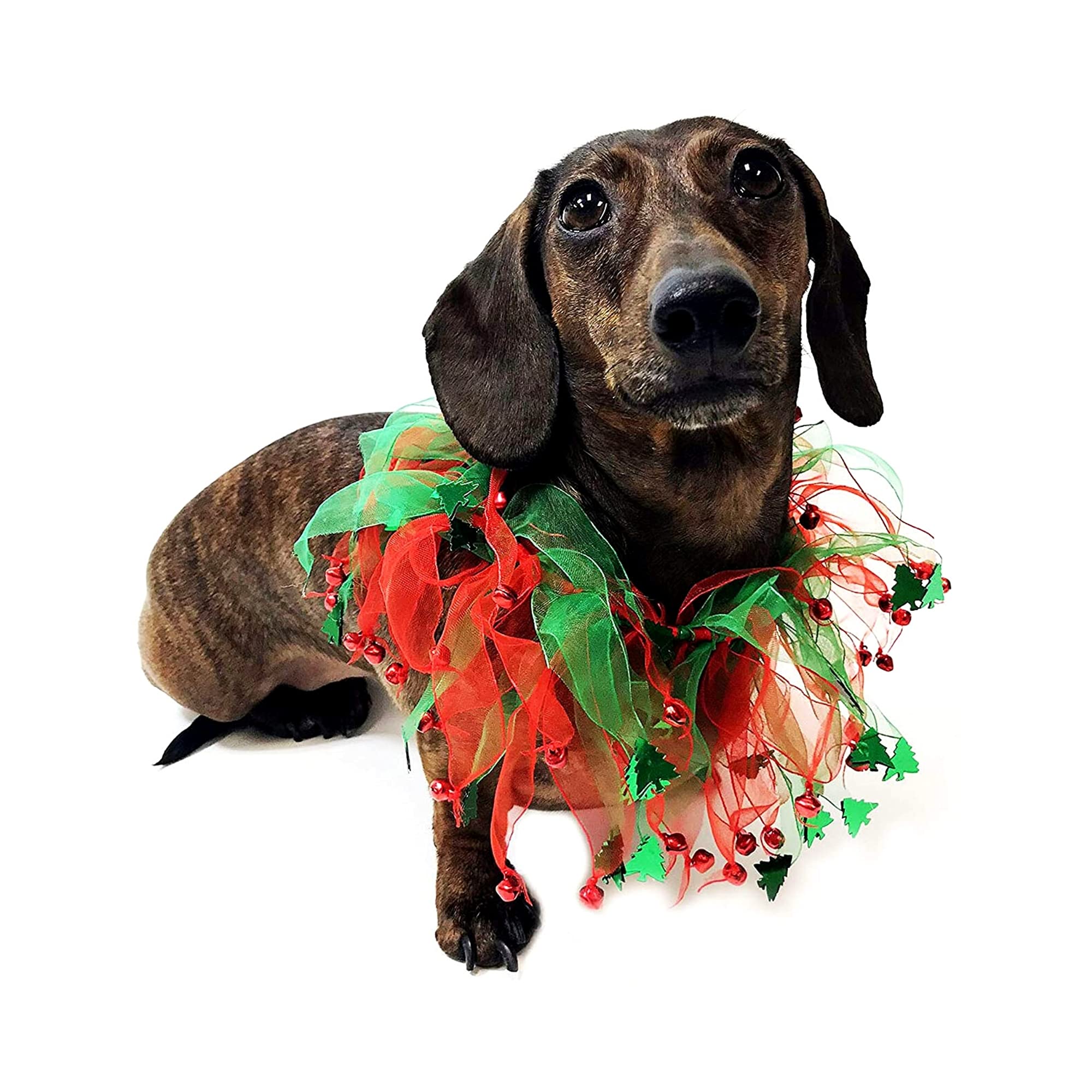 Midlee jingle bells christmas trees collar closeup highlights festive detail for holiday photos