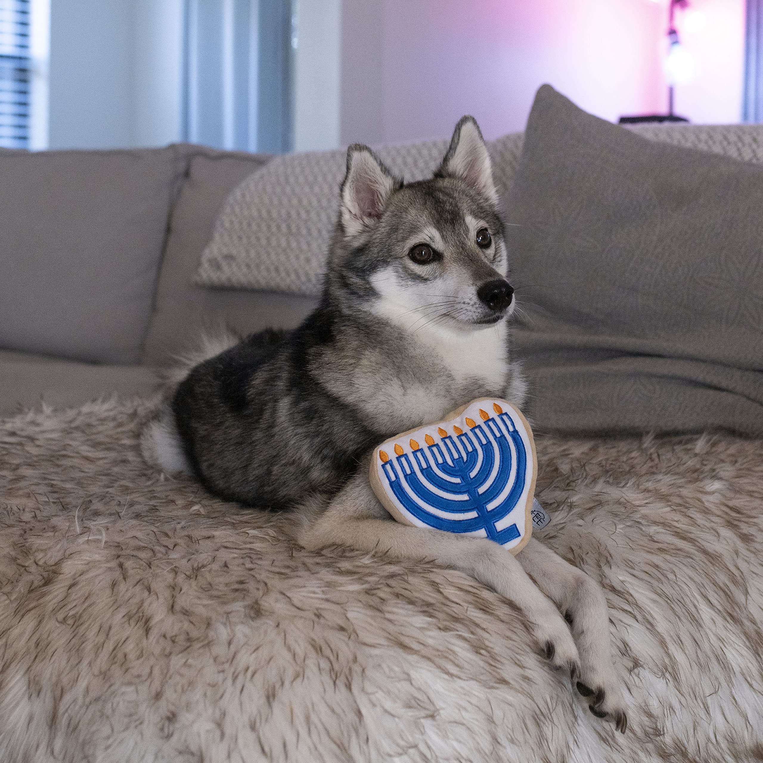 Midlee Menorah Sugar Cookie Dog Toy closeup squeaker highlights engaging sound.