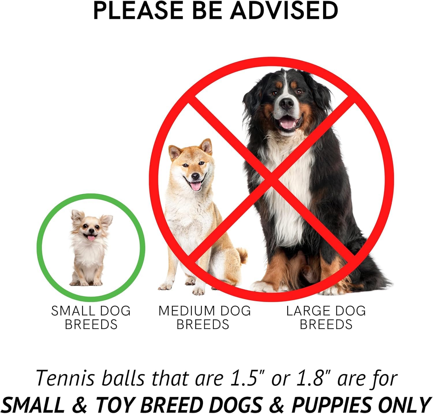 Midlee no squeaker dog balls reduce noise during quiet fetch moments.