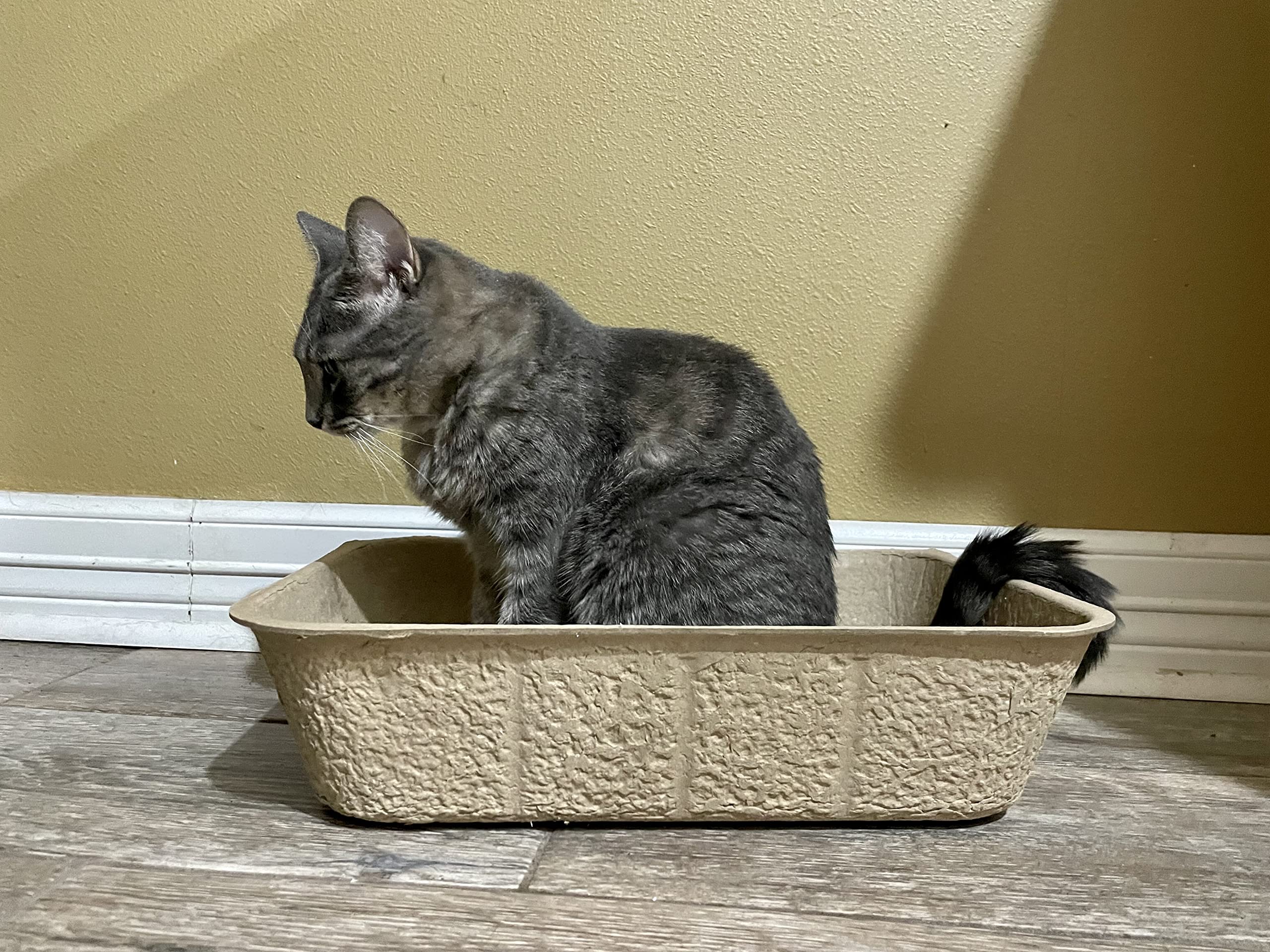 Midlee recycled paper material detail captures sustainable fibers