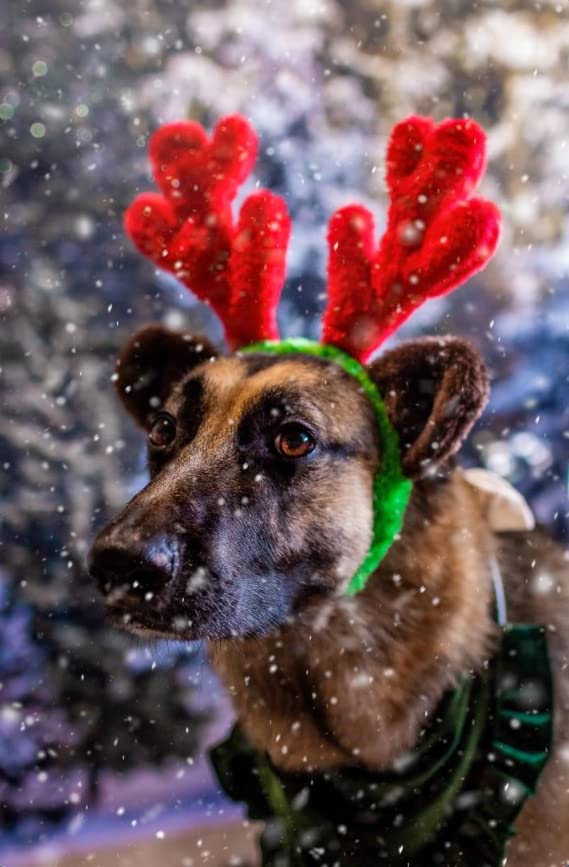 Midlee antlers feature elastic chin strap keeping them secure during photos