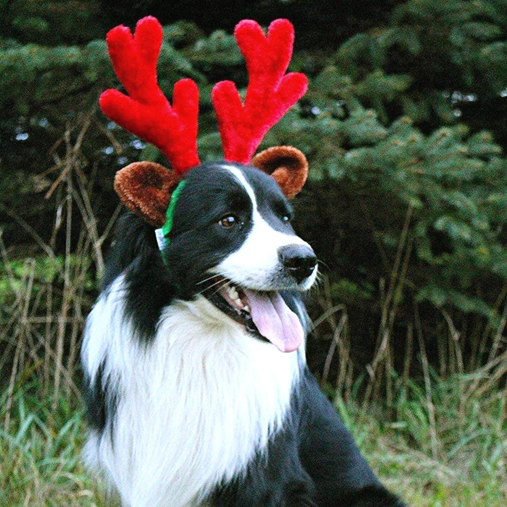 Midlee fuzzy ears and headband provide dog comfort during holiday wear