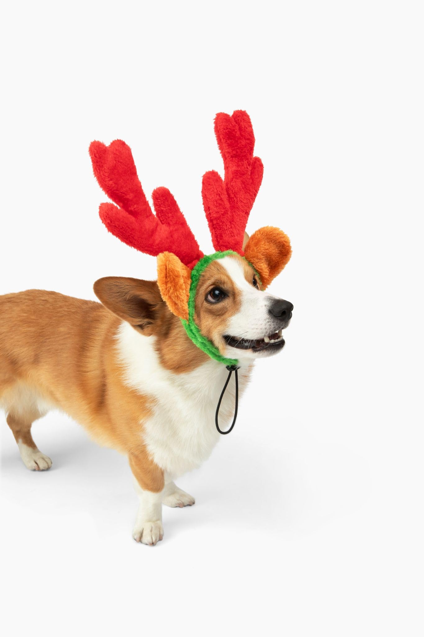 Midlee reindeer antlers stretch from 4 to 8 inches for large dogs
