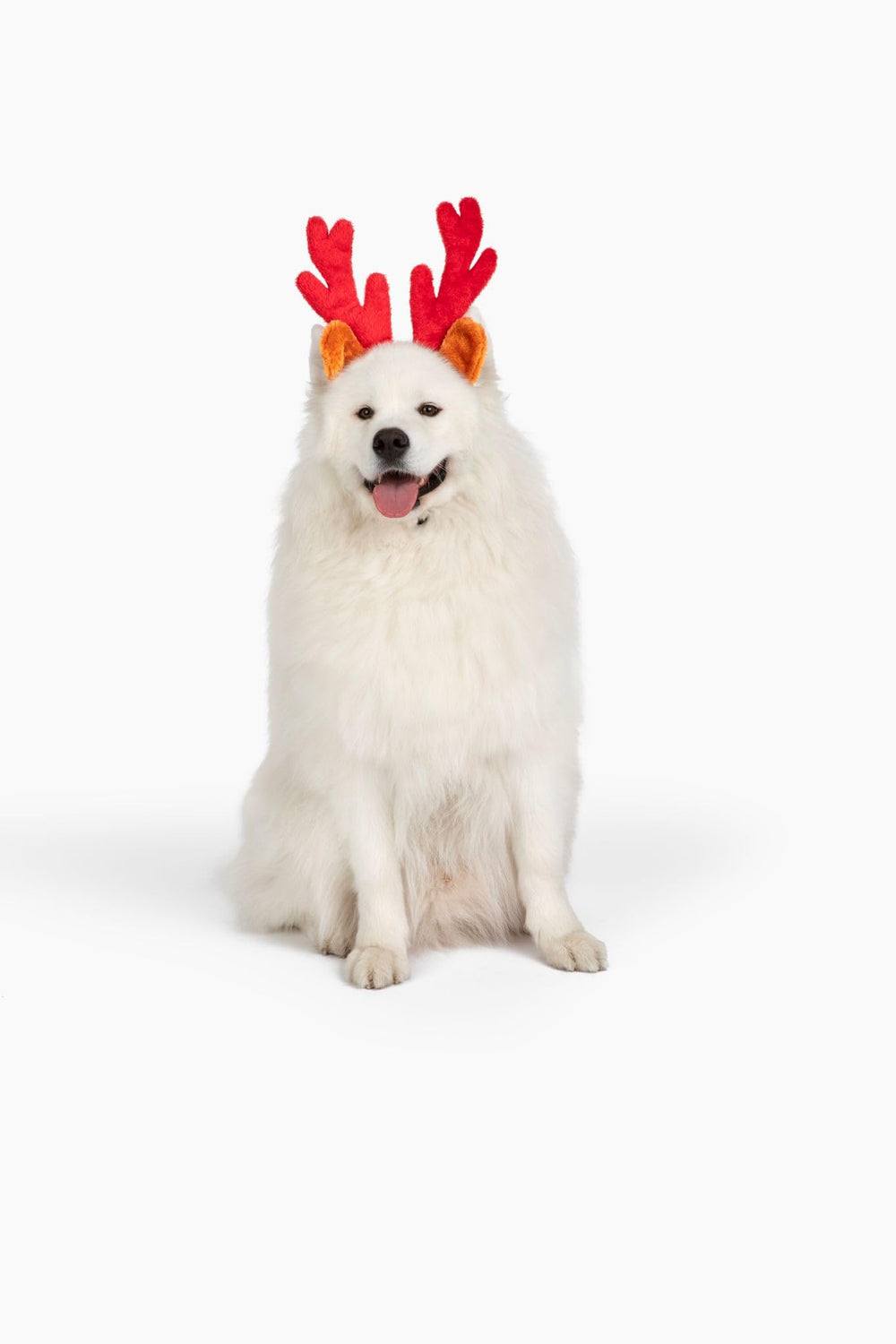 Midlee 7-inch tall red plush antlers add festive flair to photos