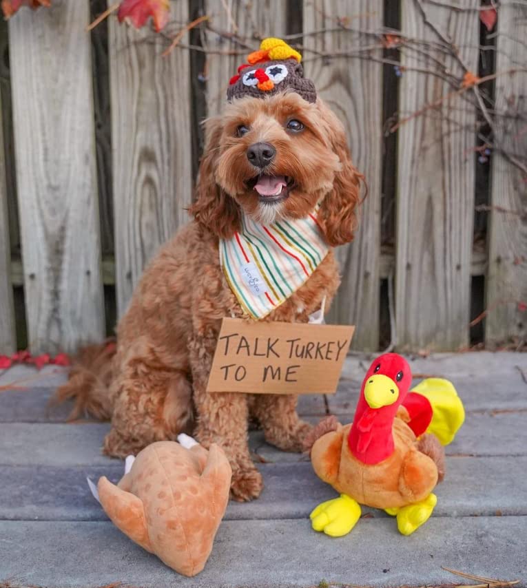 Midlee Roasted Thanksgiving Turkey dog toy back view with accessible squeaker for interactive fun