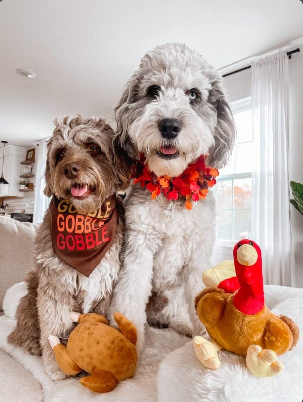Midlee Roasted Thanksgiving Turkey dog toy closeup fabric texture soft brown plush