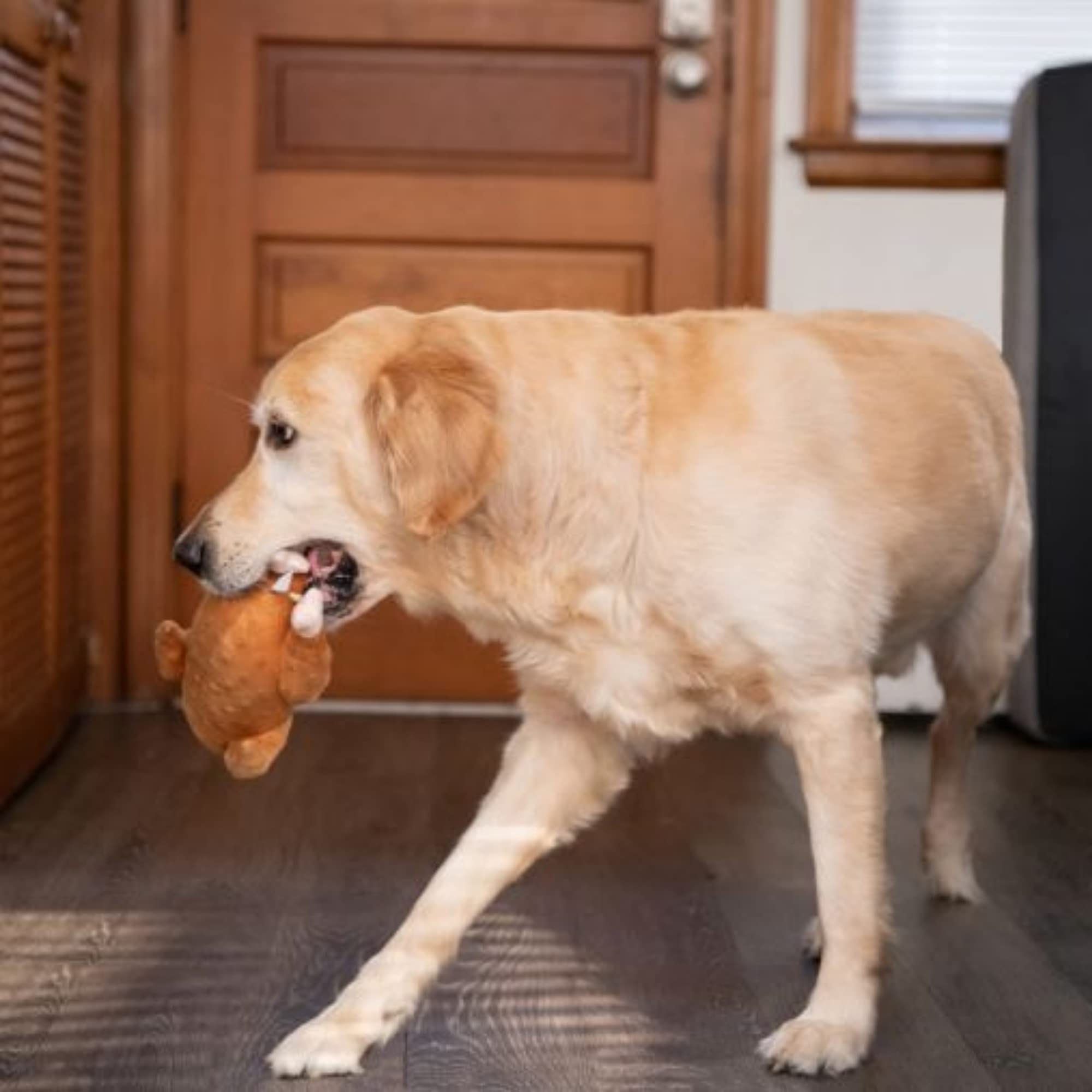 Midlee Roasted Thanksgiving Turkey dog toy squeaker detail shows hidden sound for engagement