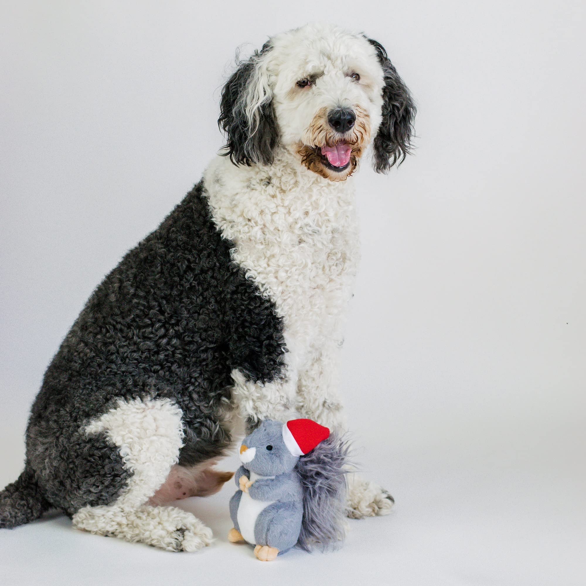 Midlee Santa hat detail on dog toy enhances seasonal charm.