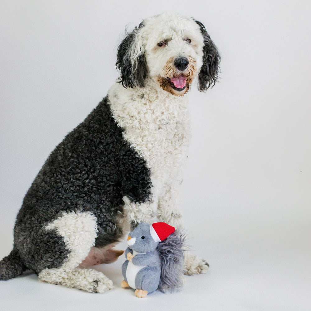 Midlee Santa hat detail on dog toy enhances seasonal charm.