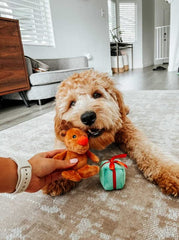Midlee Santa Sleigh reindeer detail image shows crinkle feet for tactile appeal