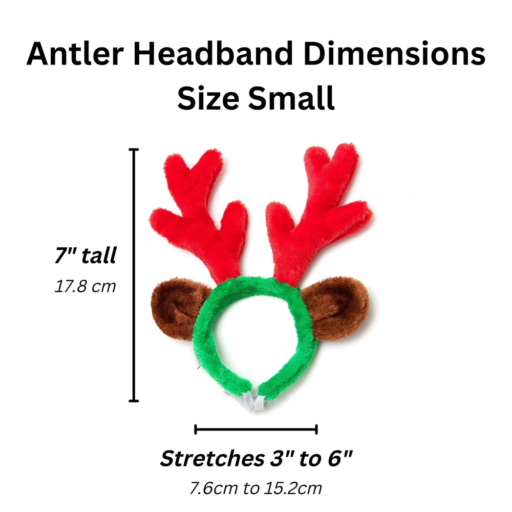 Midlee small-dog Christmas prop for cute photos