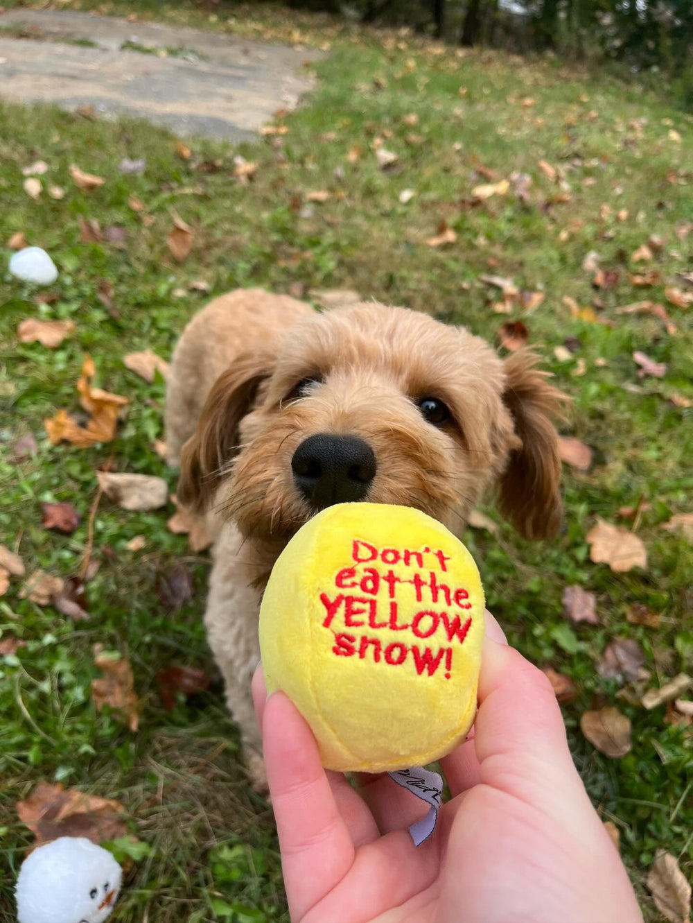 Midlee Snowball Fight snowman-face toys—five playful faces spark curiosity and interaction.