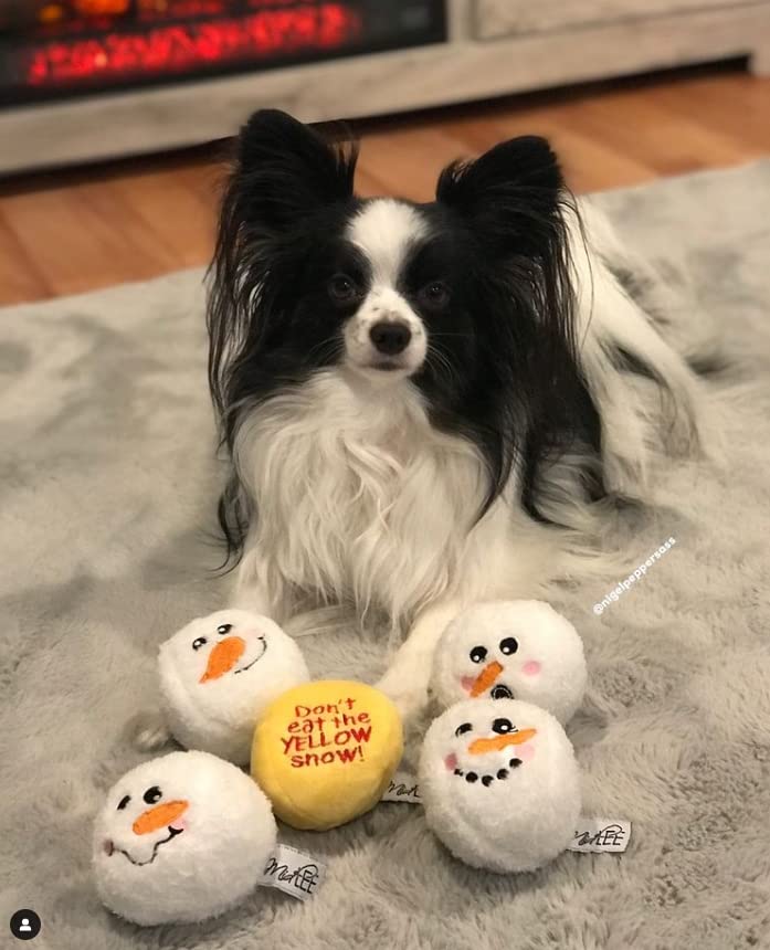Midlee Snowball Fight squeaker toy—adds lively sound to training and play sessions.
