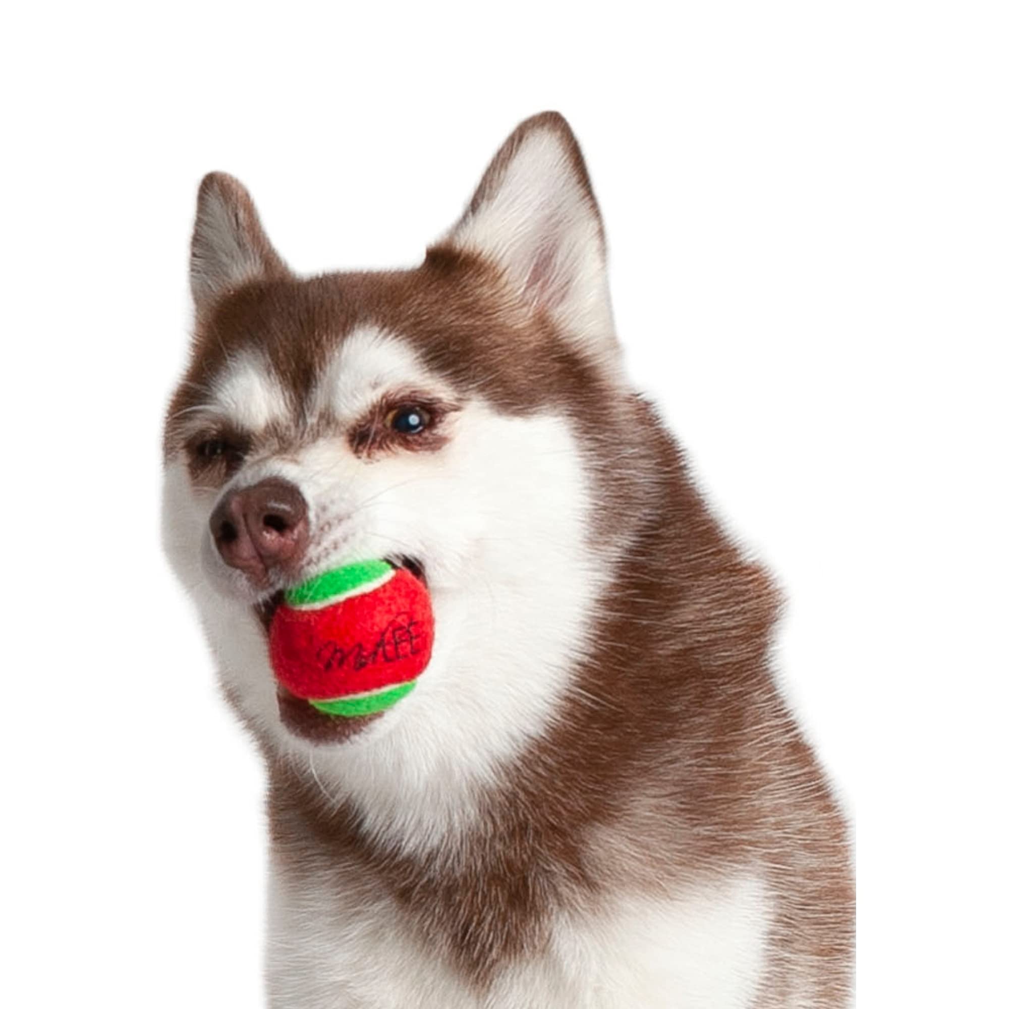 Midlee soft-durable fabric Christmas ball highlights gentle toy for puppies.