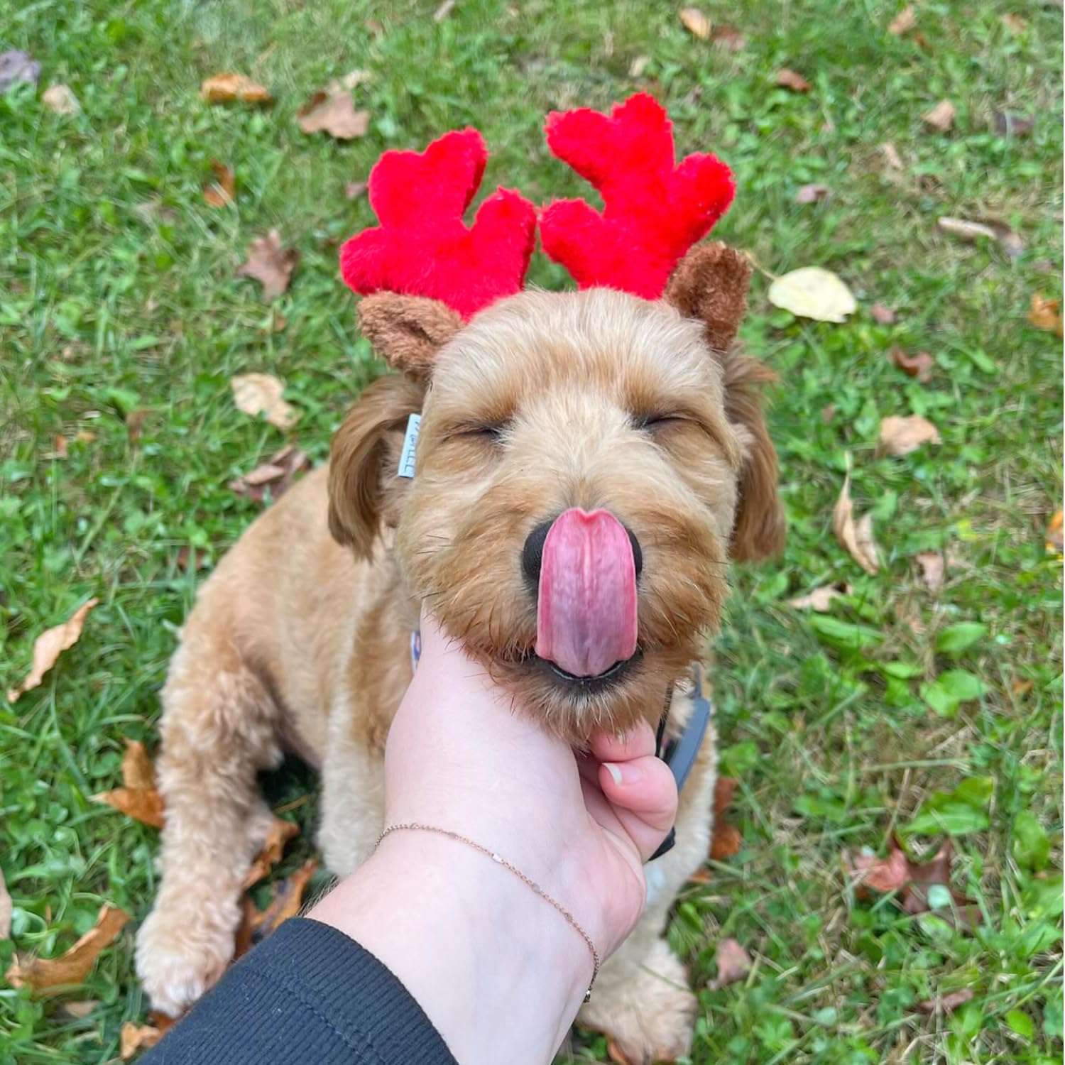 Midlee fuzzy ears headband adds soft, secure comfort
