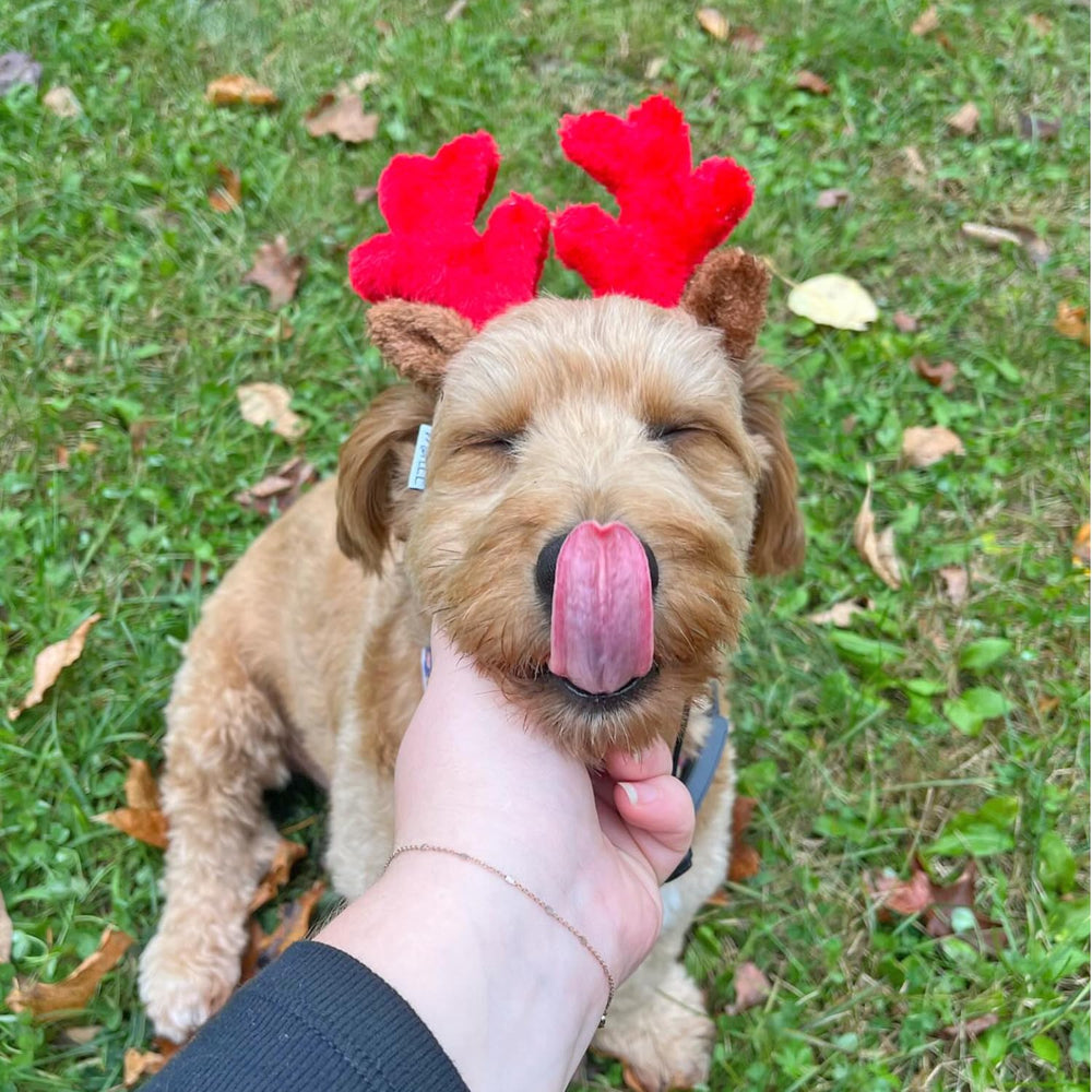 Midlee fuzzy ears headband adds soft, secure comfort