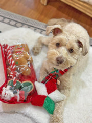 Midlee vinyl Santa toy adds squeaky festive fun during playtime.