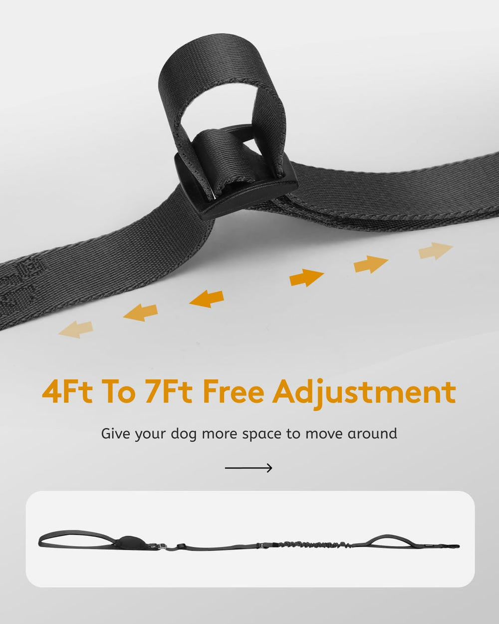 MIDOG sleek black leash complements outdoor adventures