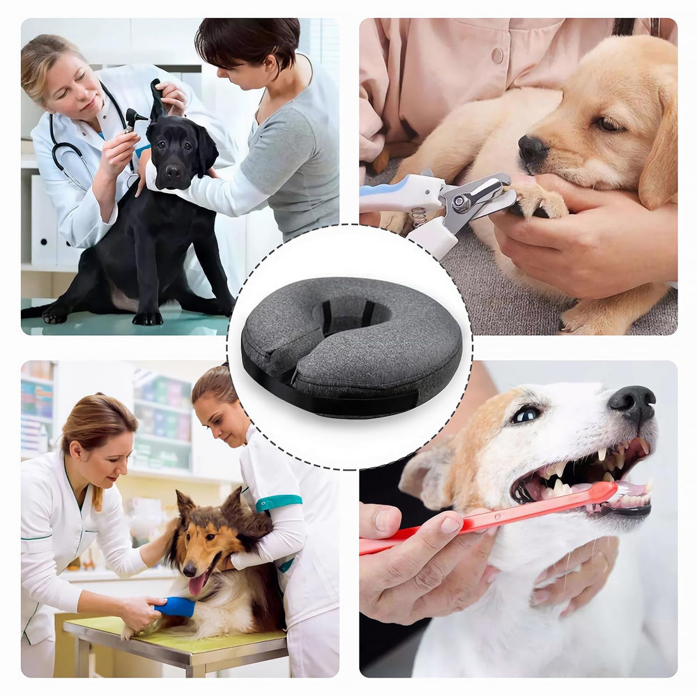 MIDOG craftsmanship badge image underscores quality since 2019 for pet recovery products.