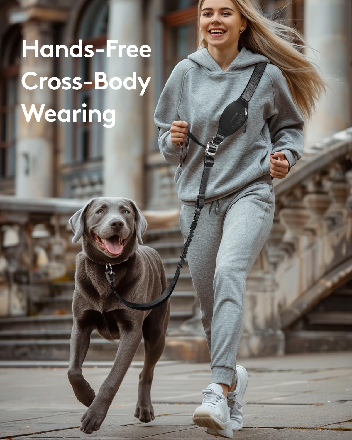 MIDOG bungee cord absorbs pulls for smoother, comfortable walks