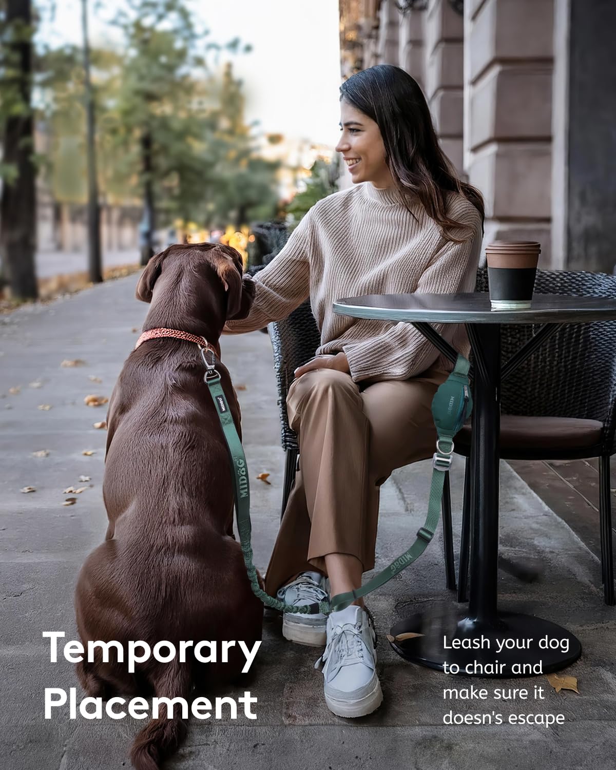 MIDOG car seatbelt attachment keeps dogs secure on car rides