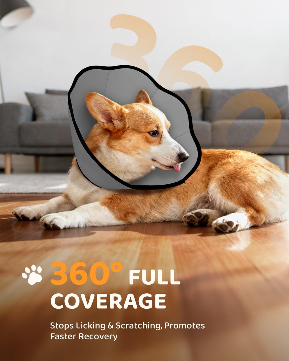 MIDOG dog cone demonstrates adjustable fit for small to large dogs.