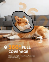 MIDOG dog cone demonstrates adjustable fit for small to large dogs.