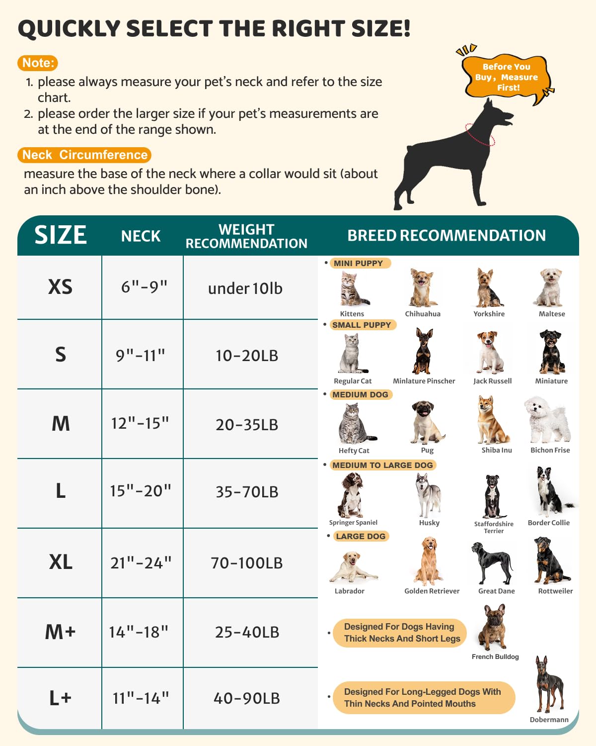 MIDOG size options for small, medium, and large dogs during recovery