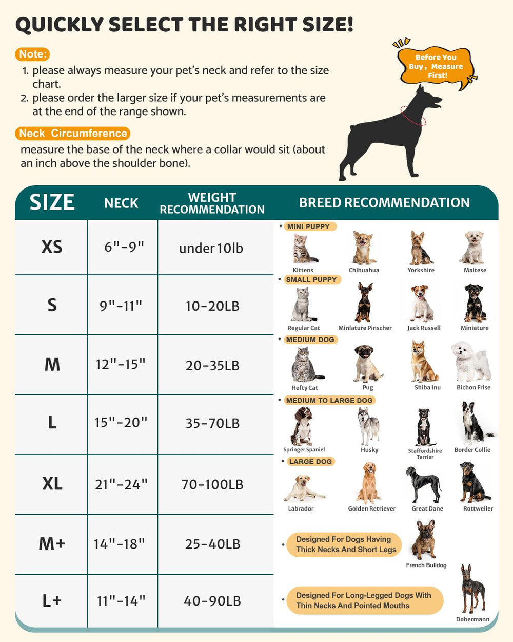 MIDOG size options for small, medium, and large dogs during recovery