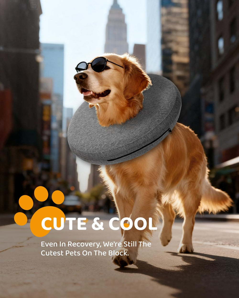 MIDOG furniture-friendly collar with soft exterior protecting surfaces