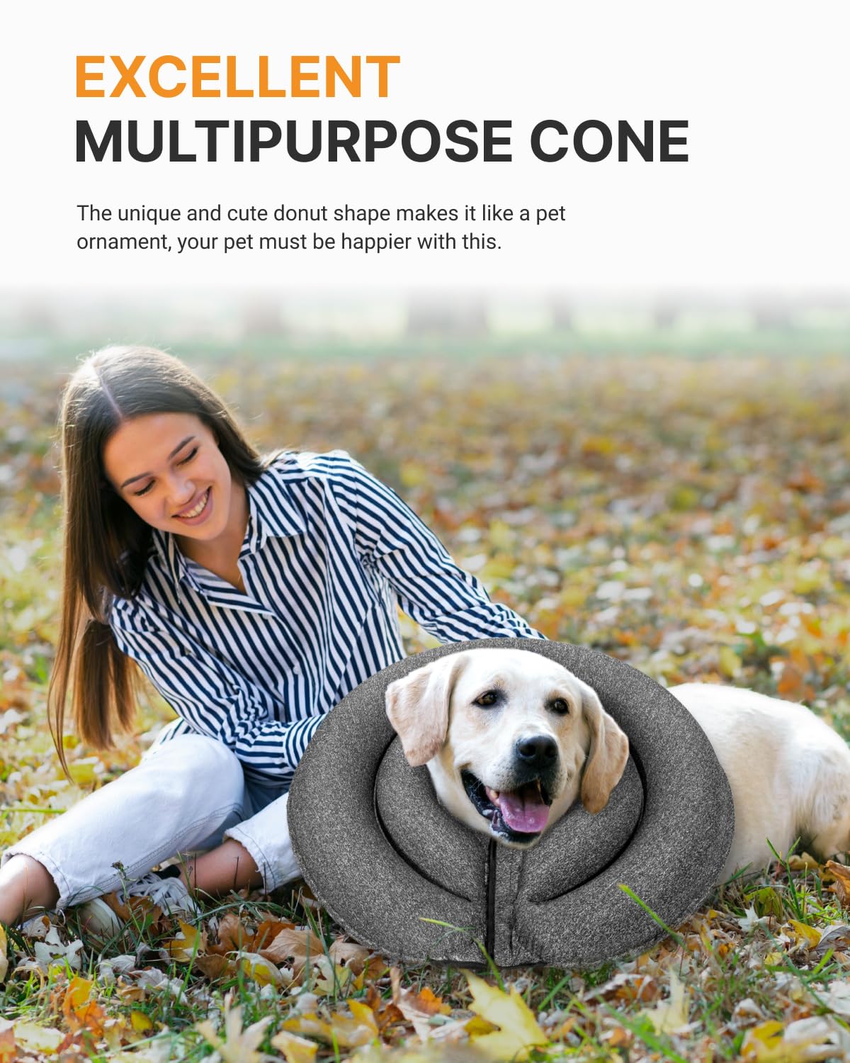 MIDOG donut cone on pet illustrates unobtrusive design that does not block vision