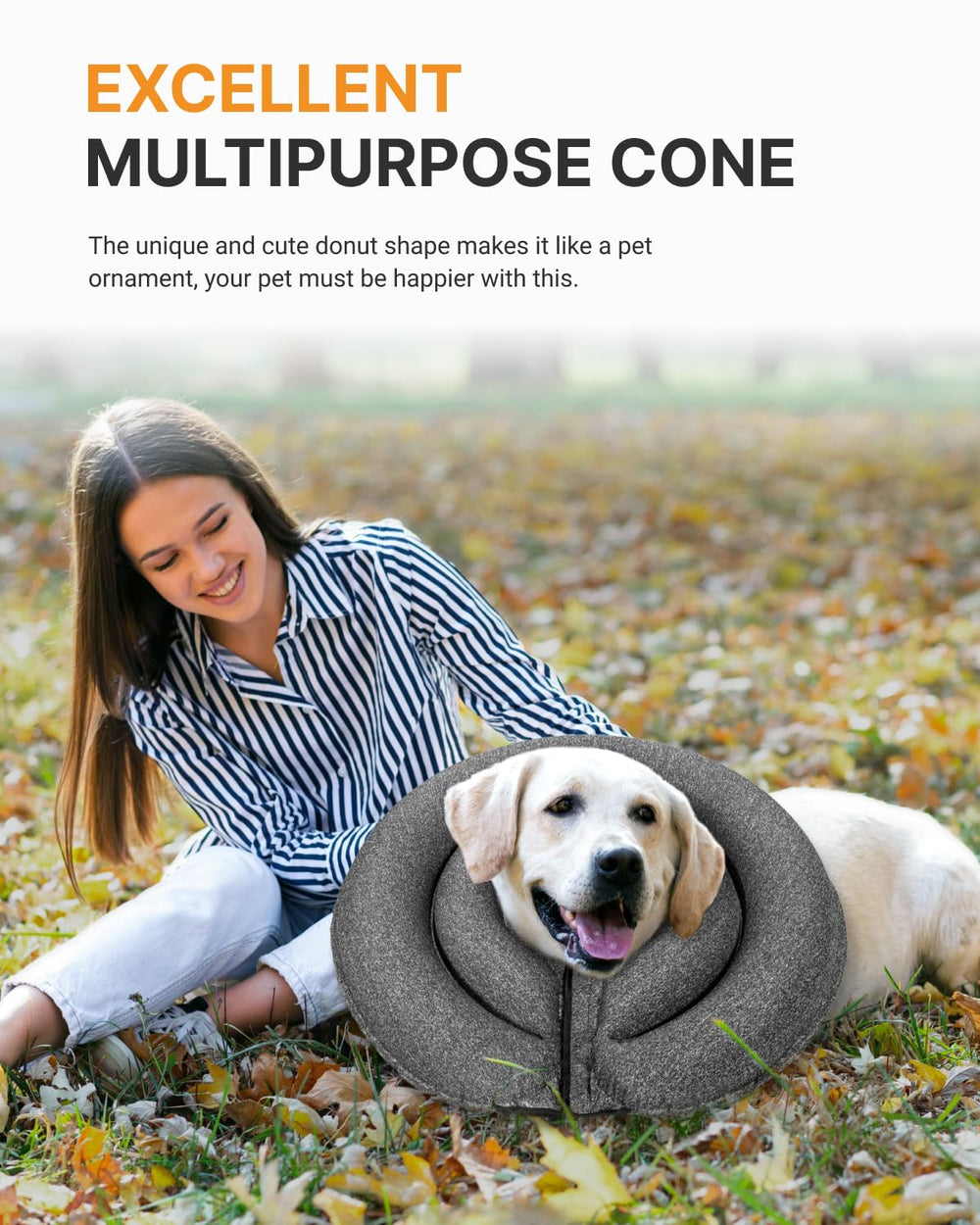 MIDOG donut cone on pet illustrates unobtrusive design that does not block vision