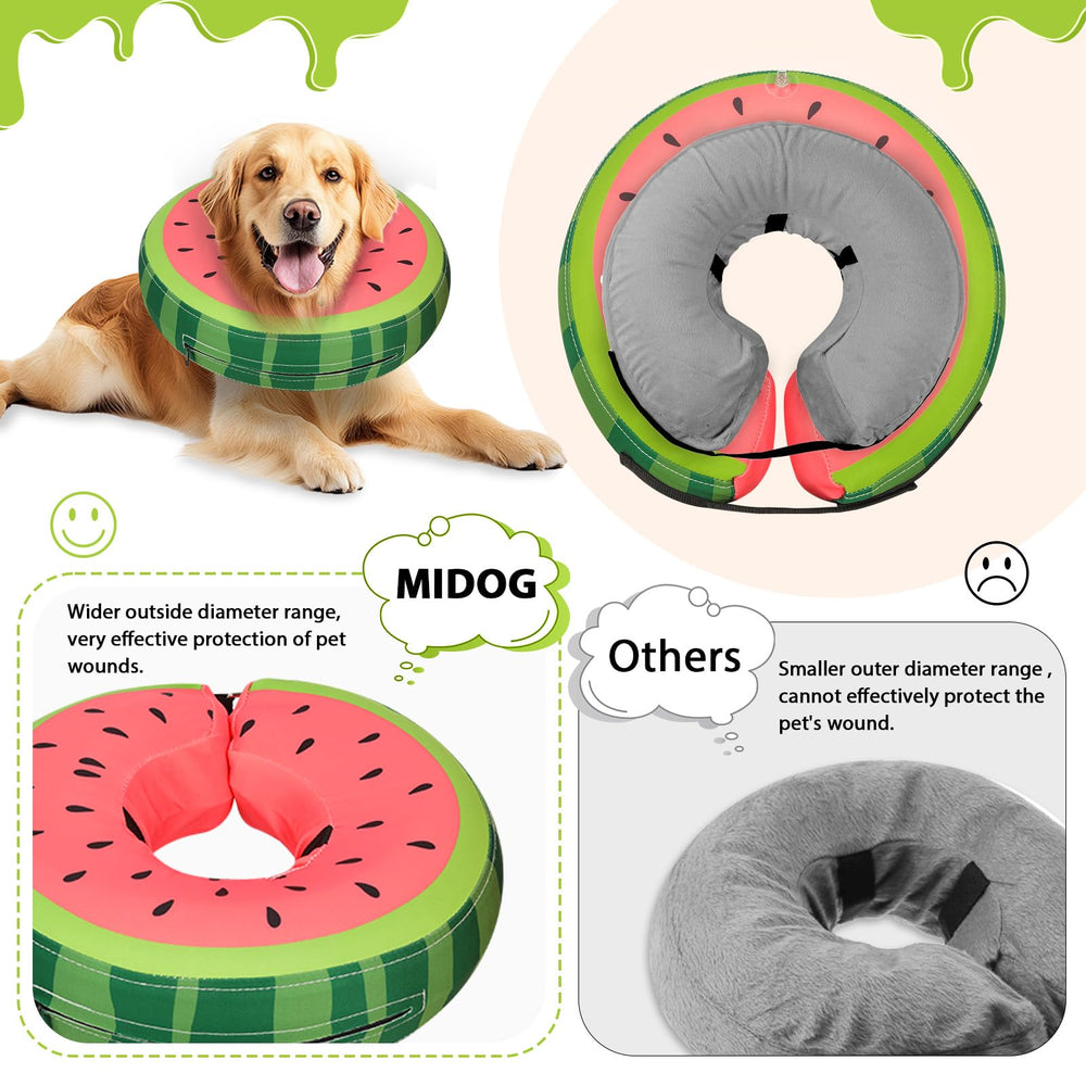MIDOG donut e-collar worn on a dog demonstrates secure fit during recovery.