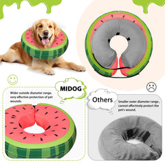 MIDOG donut e-collar worn on a dog demonstrates secure fit during recovery.