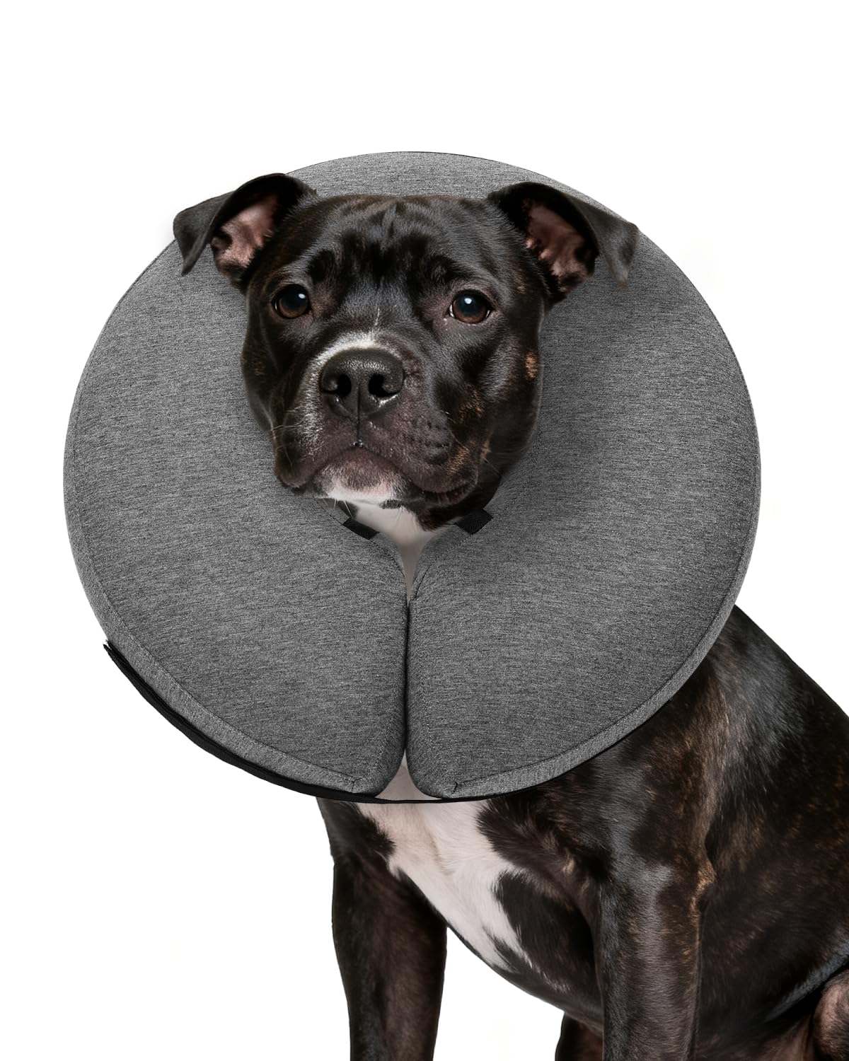MIDOG inflatable dog cone collar donut in grey providing comfy recovery and clear visibility