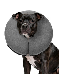 MIDOG inflatable dog cone collar donut in grey providing comfy recovery and clear visibility