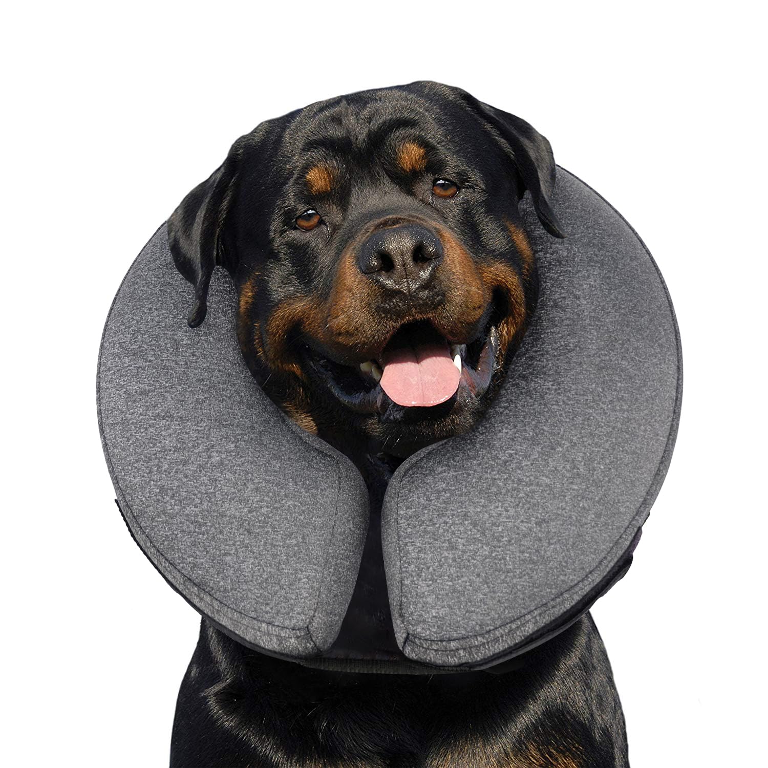 MIDOG inflatable donut cone gray XL front view protects wounds while dog rests.
