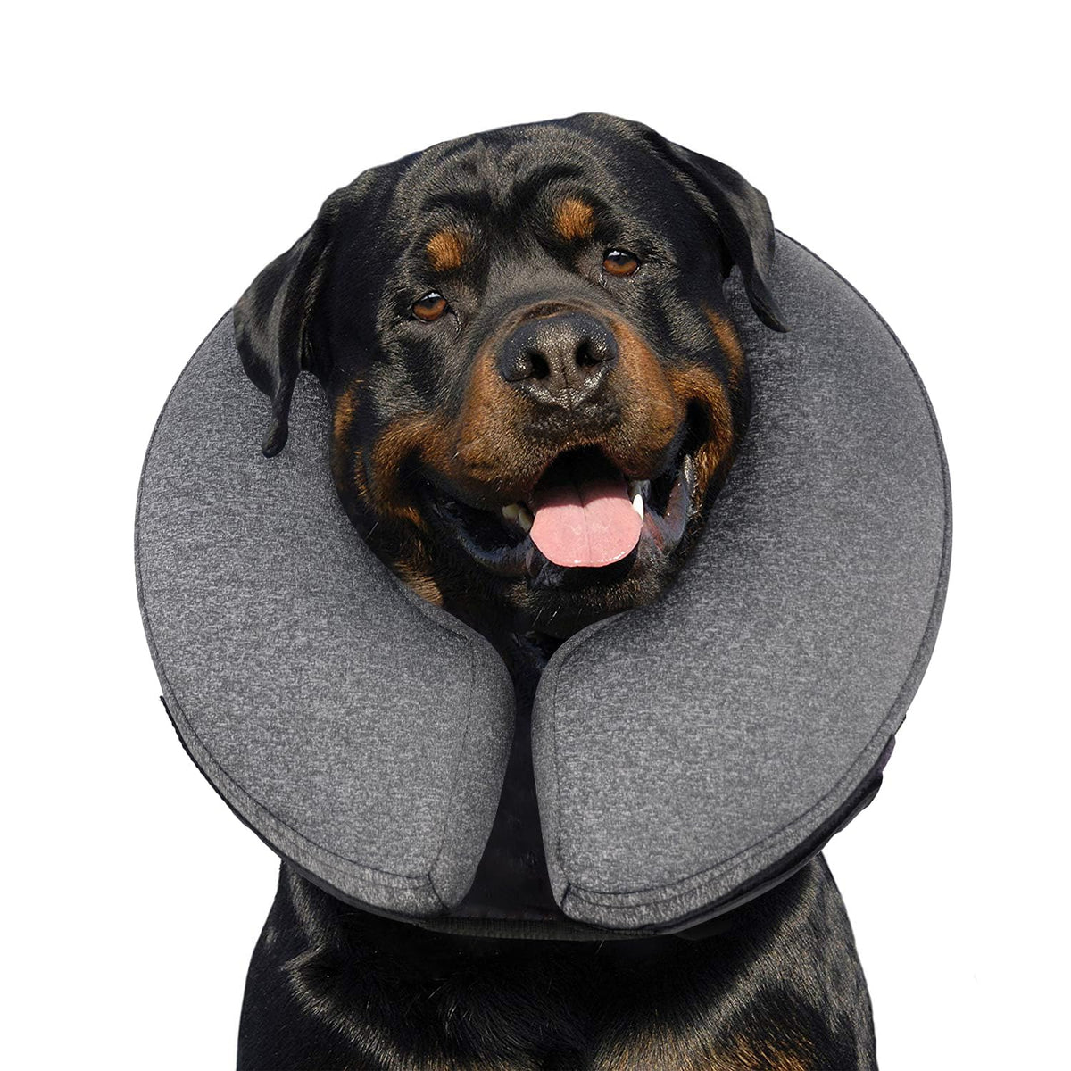MIDOG inflatable donut cone gray XL front view protects wounds while dog rests.