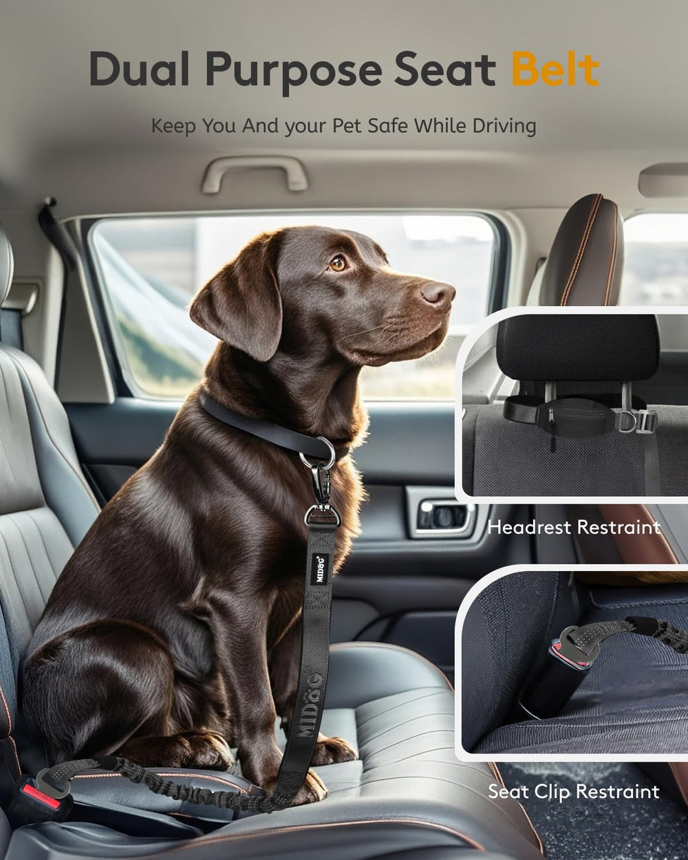 MIDOG leash suited for large dogs for everyday walking or running