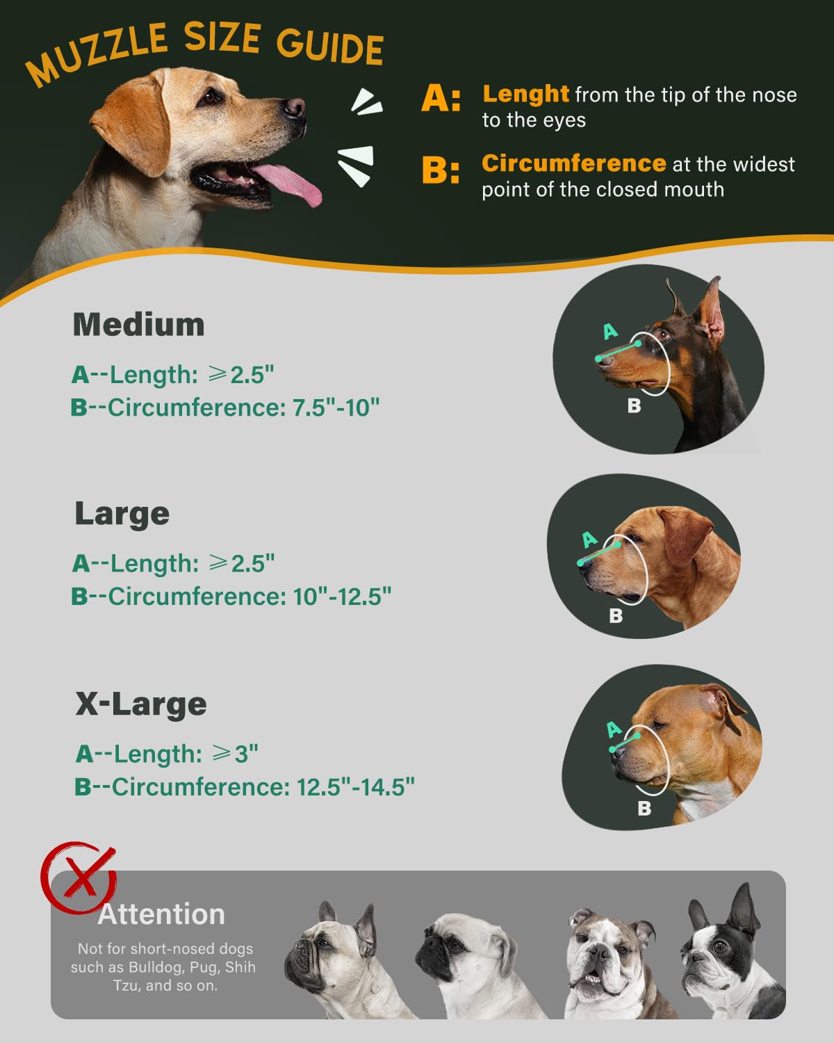 MIDOG leather muzzle adjustable strap-fit for secure, personalized fit