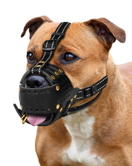 MIDOG leather muzzle basket large dog closeup showing breathable design for comfortable walks