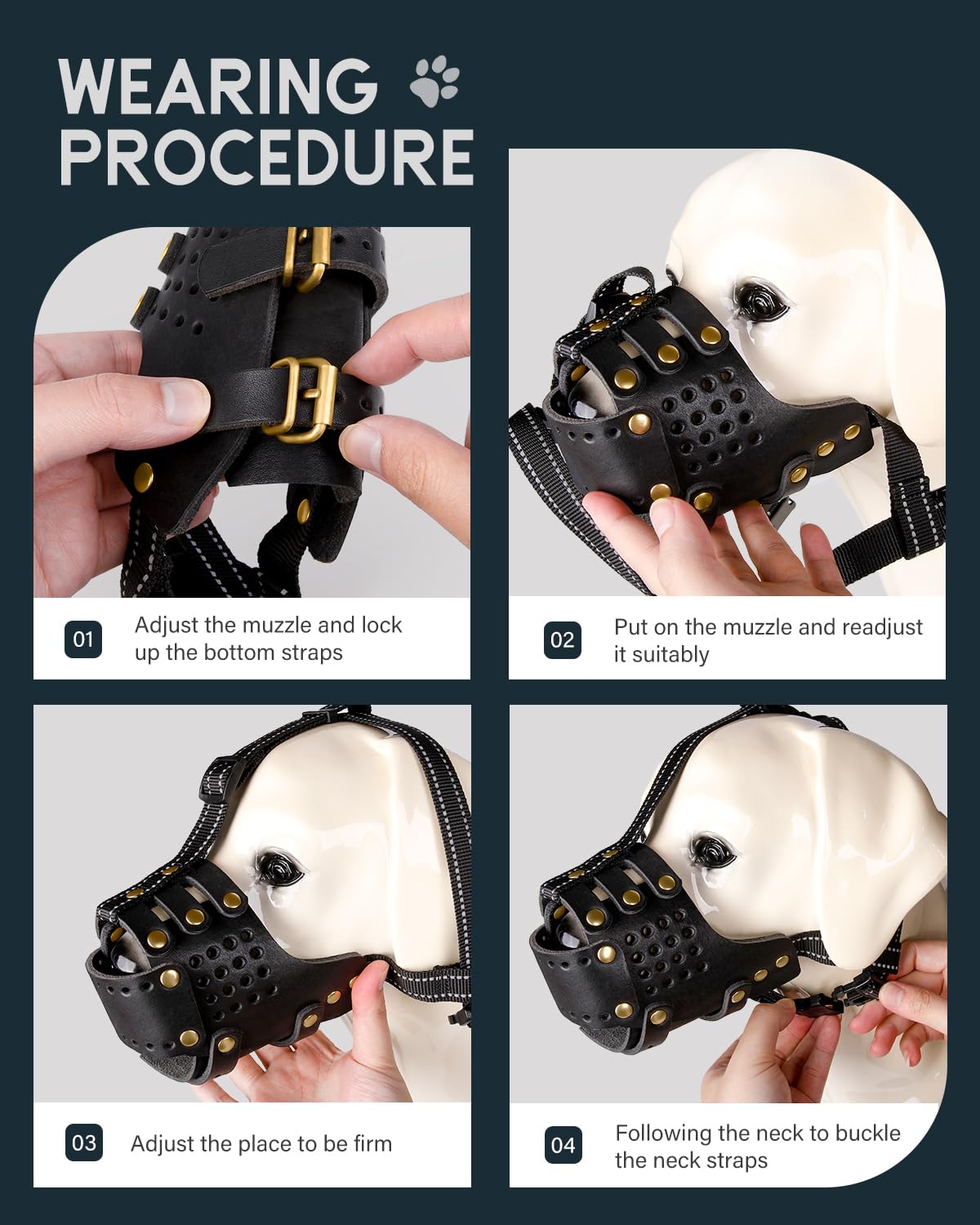 MIDOG leather muzzle care guide included for durable leather maintenance