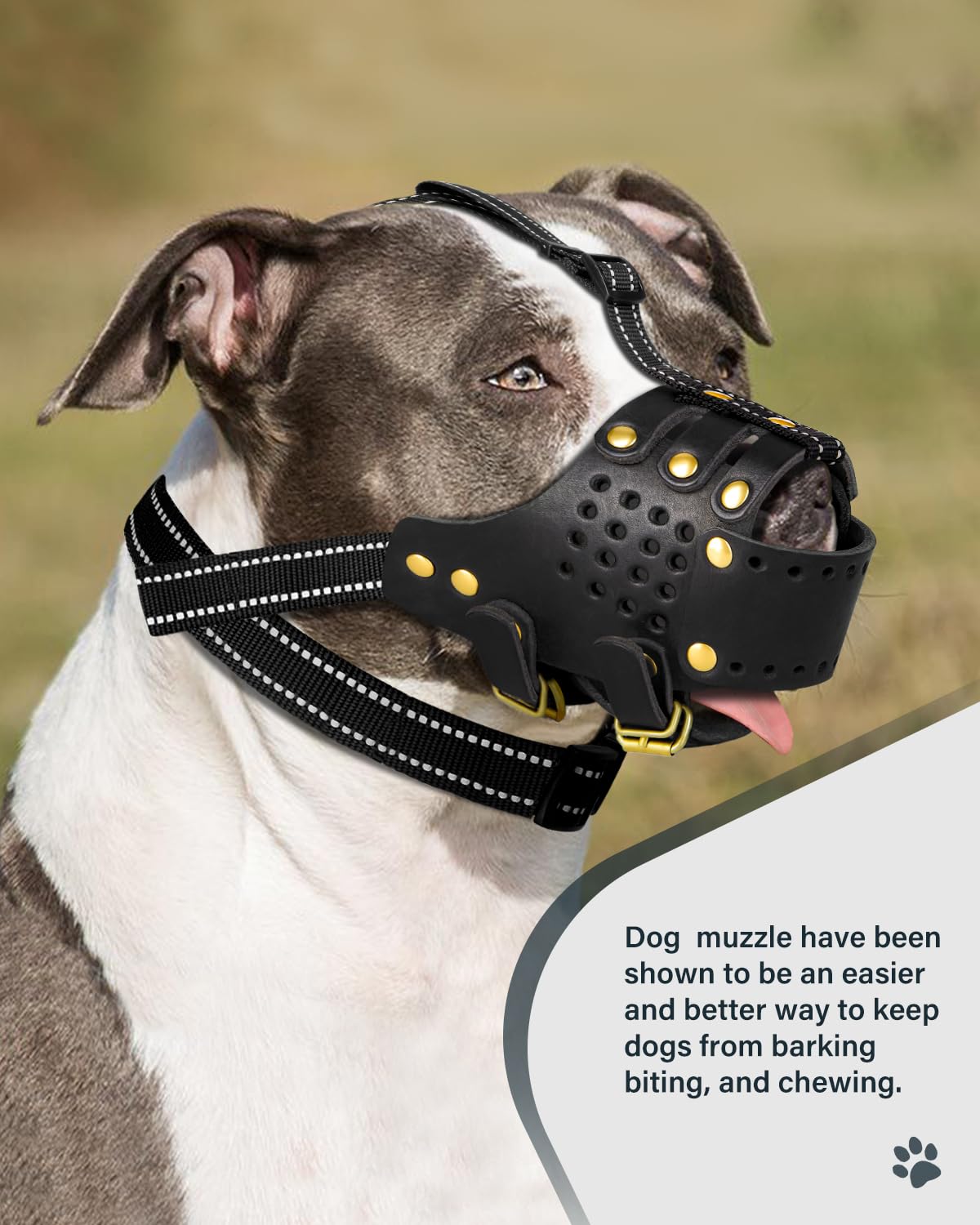 MIDOG leather muzzle cross-weave design providing airflow and comfort