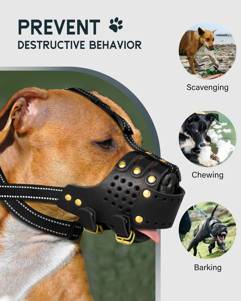 MIDOG leather muzzle design showcasing breathable ventilation for safe outings