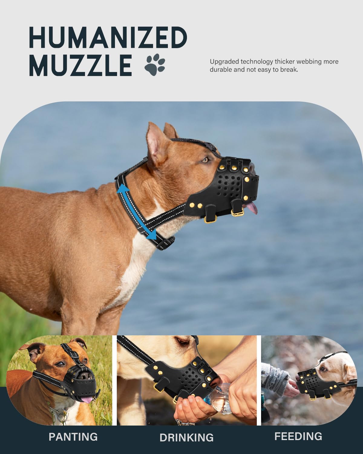 MIDOG leather muzzle highlighting safety features for vet visits and grooming