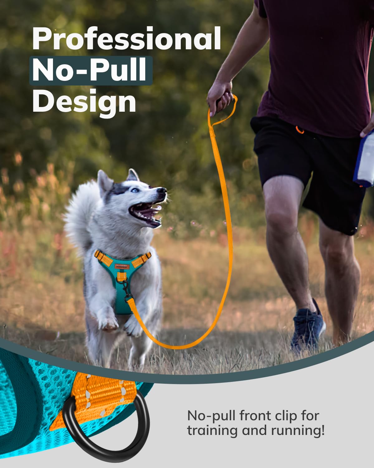 MIDOG back leash ring blue providing versatile daily use and training