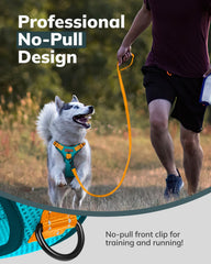 MIDOG back leash ring blue providing versatile daily use and training
