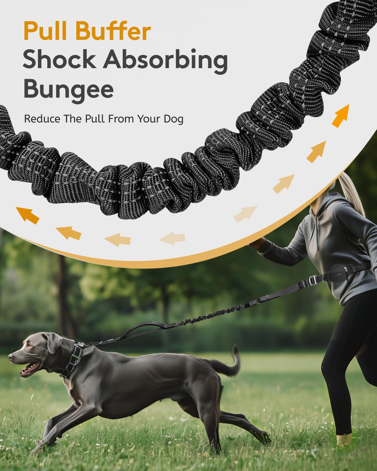 MIDOG reinforced cross-stitching boosts leash longevity for large dogs